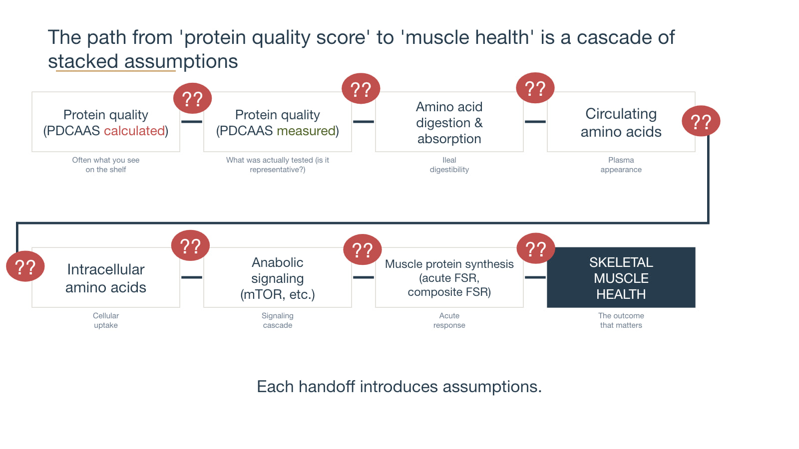 Presentation slide tracing the assumptions between a protein quality score and skeletal muscle health