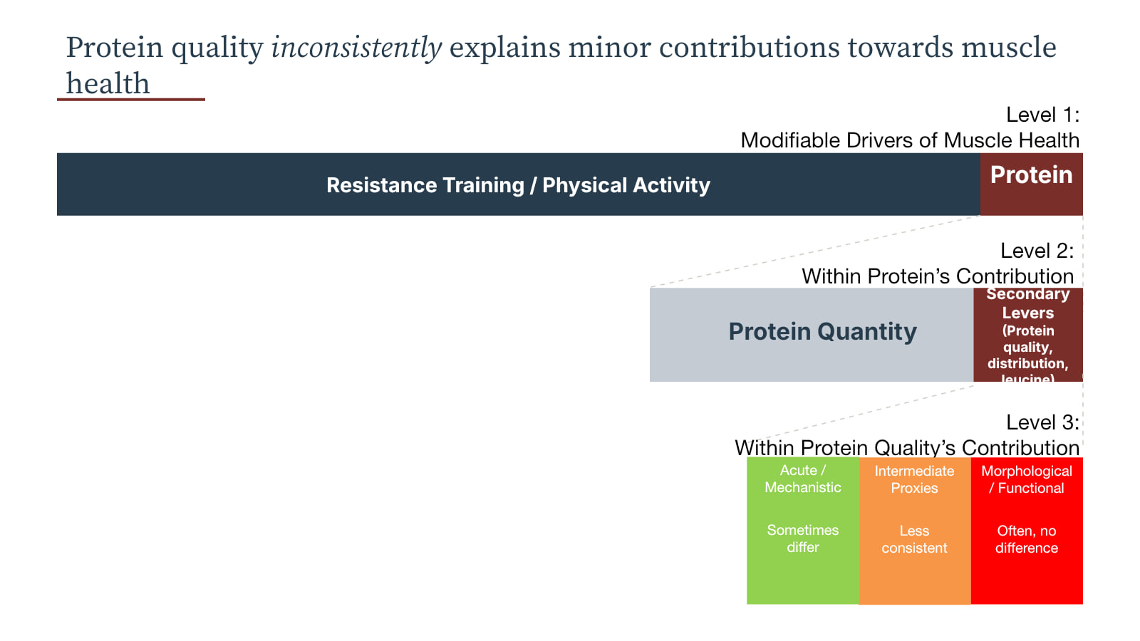 Presentation slide ranking resistance training, protein quantity, and secondary protein levers by their contribution to muscle health